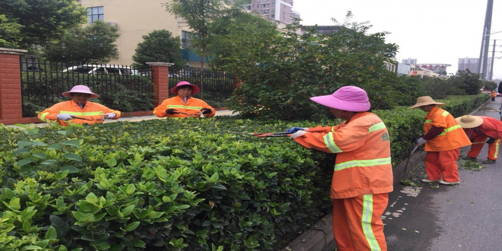 新站區(qū)道路清掃保潔、綠化管養(yǎng)項(xiàng)目