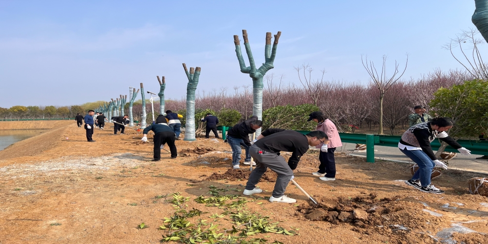 黨建引領(lǐng)共植綠 凝心聚力譜新篇 ——和合生態(tài)、德嘉置業(yè)黨支部赴小廟基地義務(wù)植樹